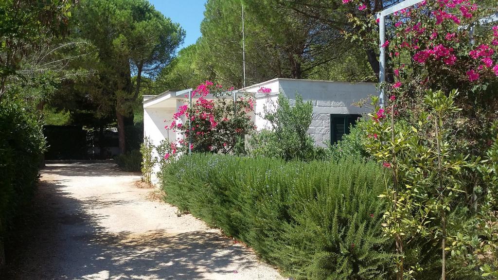 Campingplatz Camping Cala Dei Ginepri Torre Santa Sabina