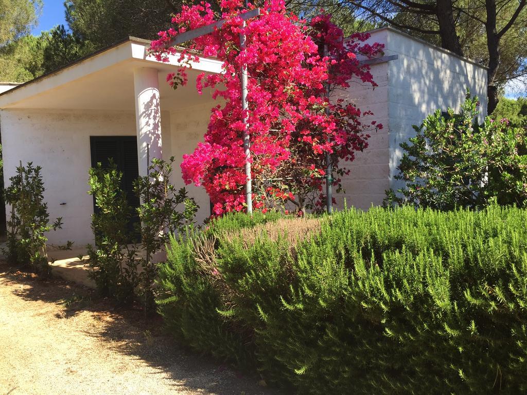 Camping Cala Dei Ginepri Torre Santa Sabina