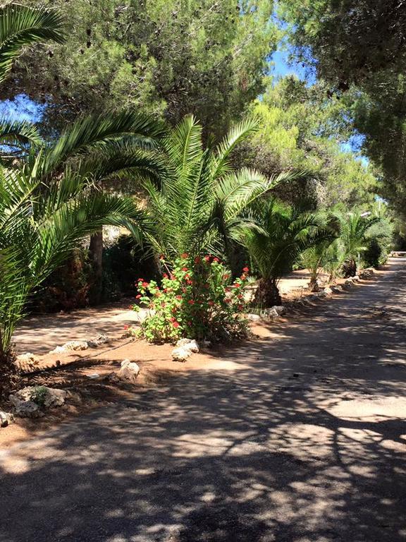 Camping Cala Dei Ginepri *